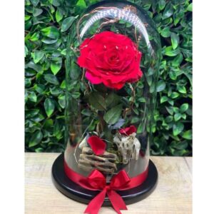 Rosa eterna mega.