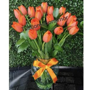 Tulipanes favoritos.