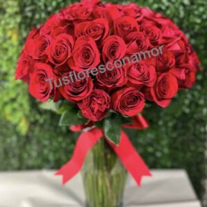 Polonia con rosas