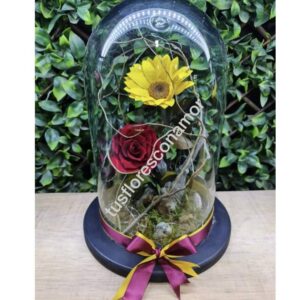 Girasol preservado