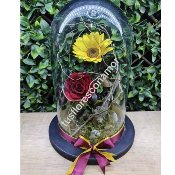 Girasol preservado