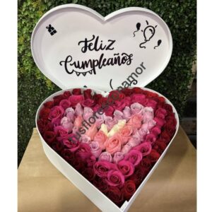 Corazon colorido.