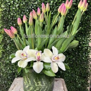 Tulipanes y orquideas para ella.