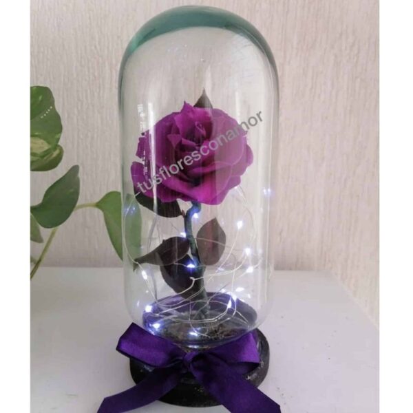 Rosa eterna chica