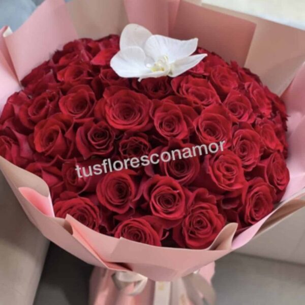Amo las rosas